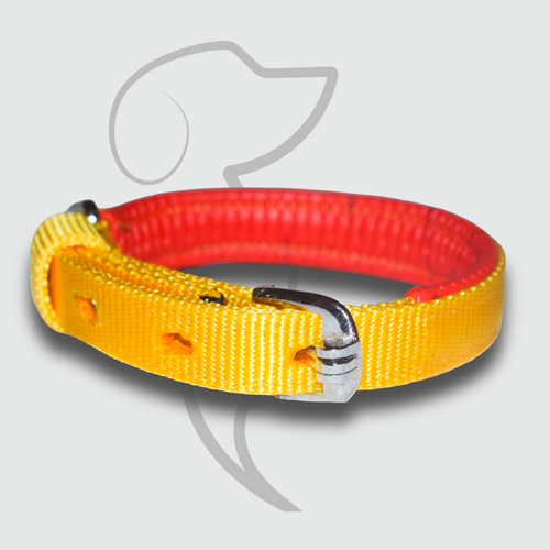 Yellow Comfort Padded Dog Collar