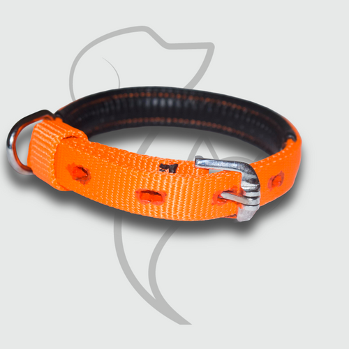 Orange Comfort Padded Dog Collar
