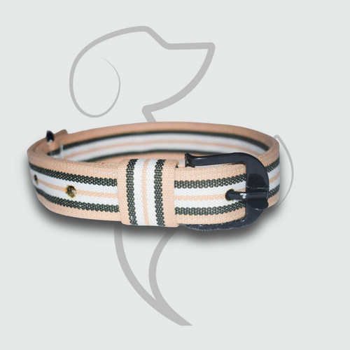 Beige & Olive Stripe Cotton Dog Collar