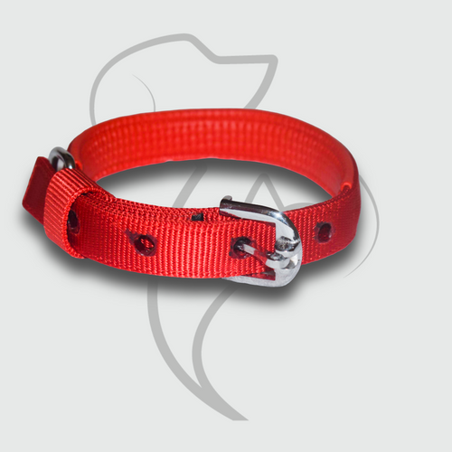 Red Comfort Padded Dog Collar