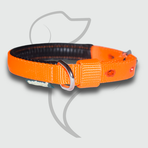 Orange Comfort Padded Dog Collar