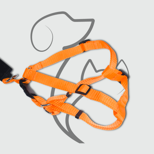 Orange Strong Polymer Fabric Dog Harness – Petopia