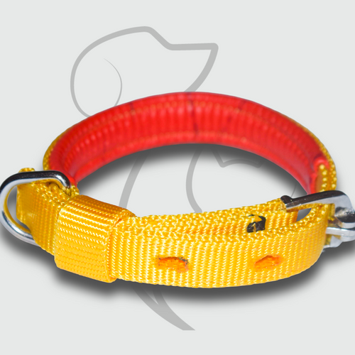 Yellow Comfort Padded Dog Collar