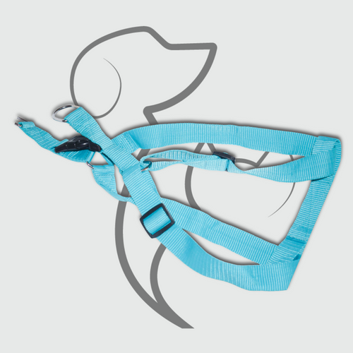 Teal Blue Strong Polymer Fabric Dog Harness – Petopia