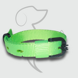 Dog Collar