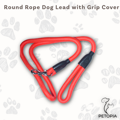 Red Round Rope Dog Leash with Metal Hook – Petopia