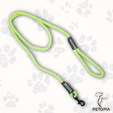 Dog Leash