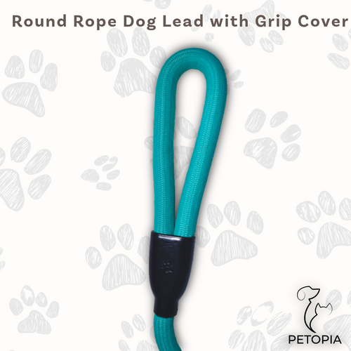 Teal Blue Light Round Rope Dog Leash with Metal Hook – Petopia