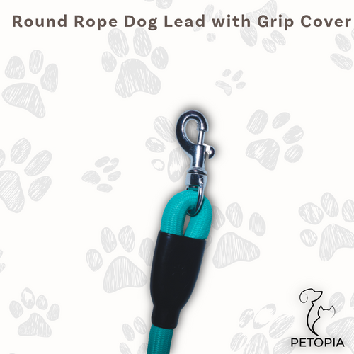 Teal Blue Light Round Rope Dog Leash with Metal Hook – Petopia