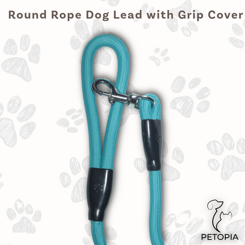 Teal Blue Dark Round Rope Dog Leash with Metal Hook – Petopia