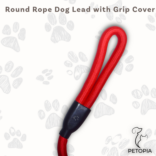 Red Round Rope Dog Leash with Metal Hook – Petopia