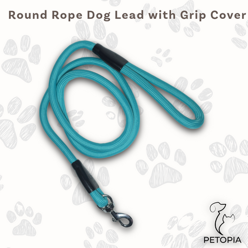 Teal Blue Dark Round Rope Dog Leash with Metal Hook – Petopia